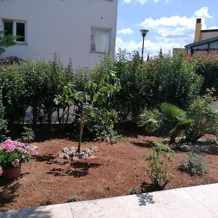 Ferienhaus Bozena Appartment 6 Vrsar Bagian luar foto